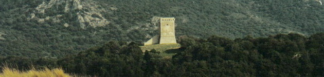 Agriturismo Maremma alberese