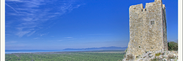 Agriturismo Maremma alberese